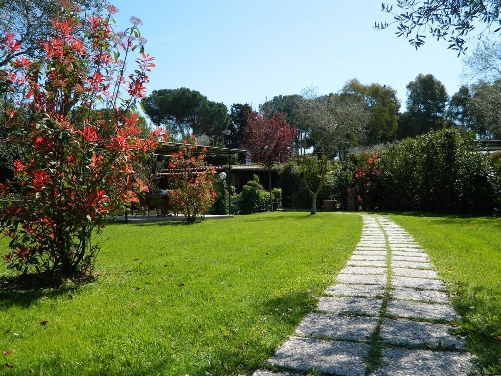 Country Apartments Castel di Decima Ngoại thất bức ảnh