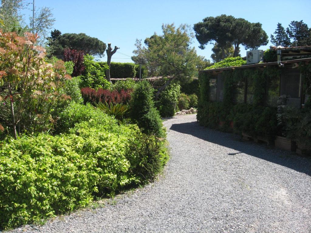 Country Apartments Castel di Decima Ngoại thất bức ảnh