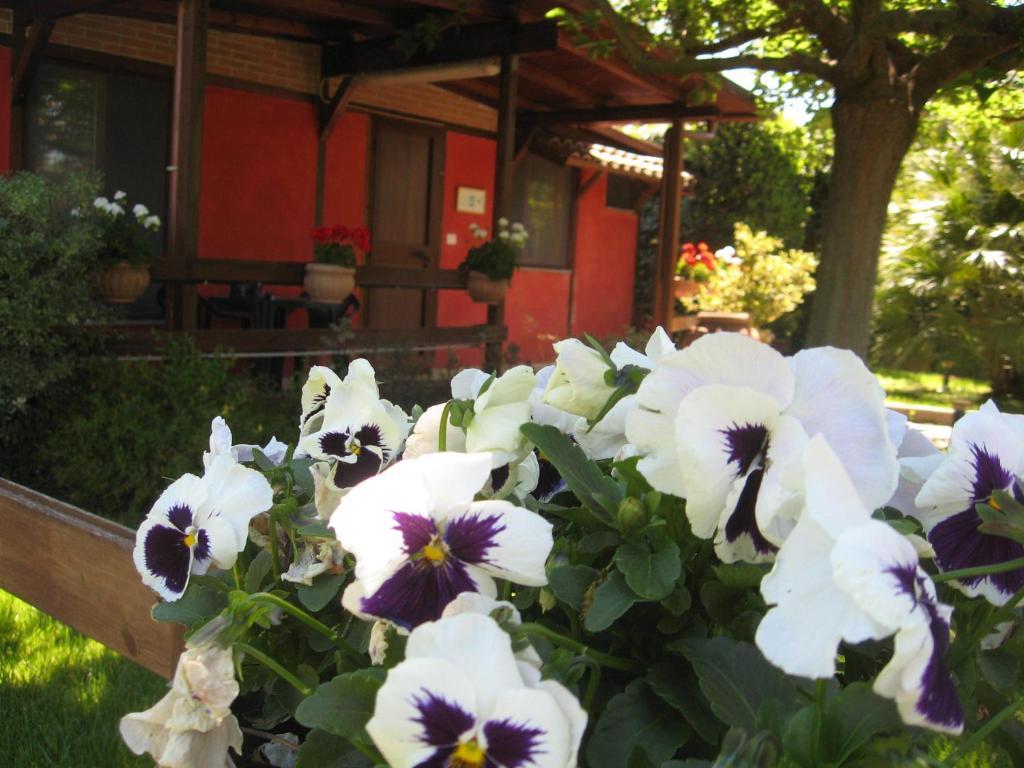 Country Apartments Castel di Decima Ngoại thất bức ảnh